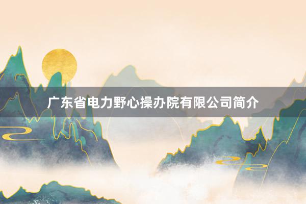 广东省电力野心操办院有限公司简介